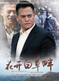 亚洲国产精品v
